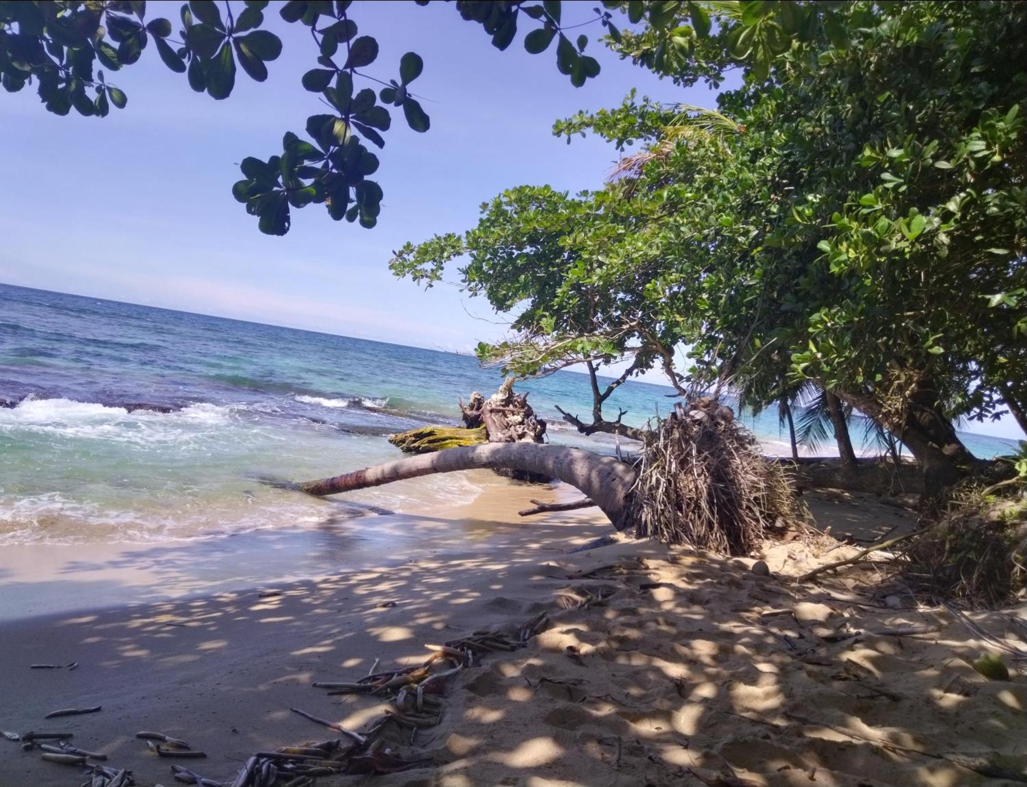 Serenity Houses Cahuita Buitenkant foto