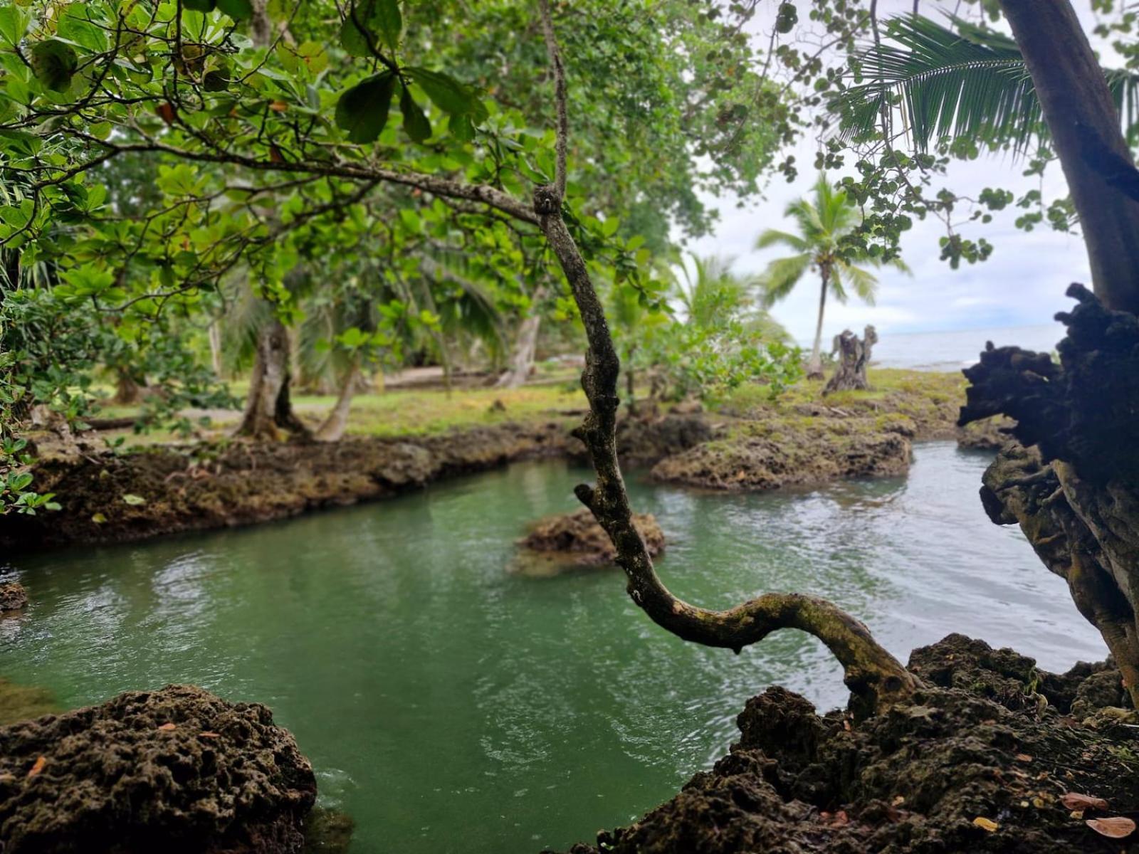 Serenity Houses Cahuita Buitenkant foto
